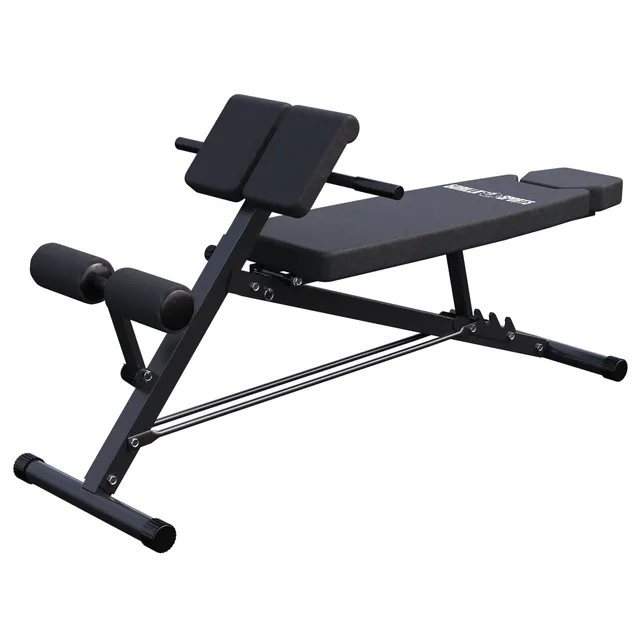 gyronetics-e-series-hantelbank-hyperextension-verstellbar image 1