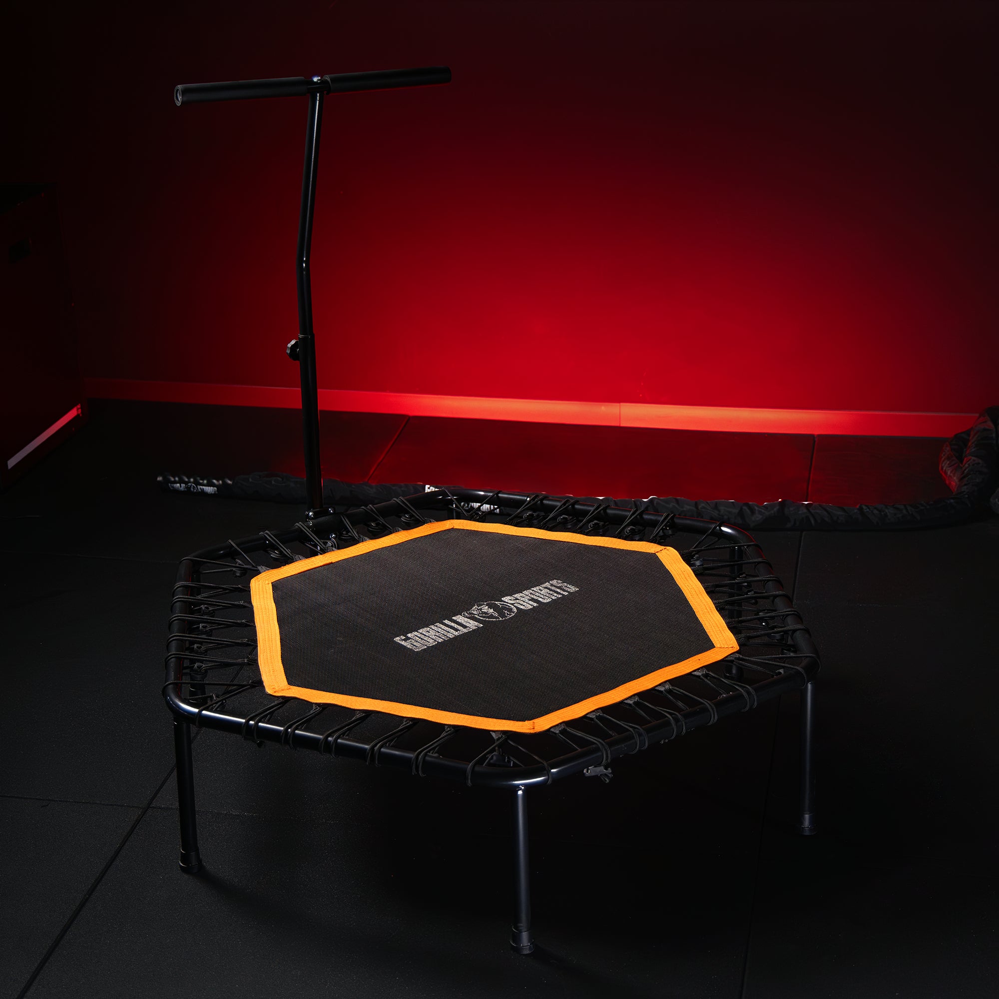 gyronetics-trampolin-fitness-trampolin-mit-haltestange-100-kg image 2