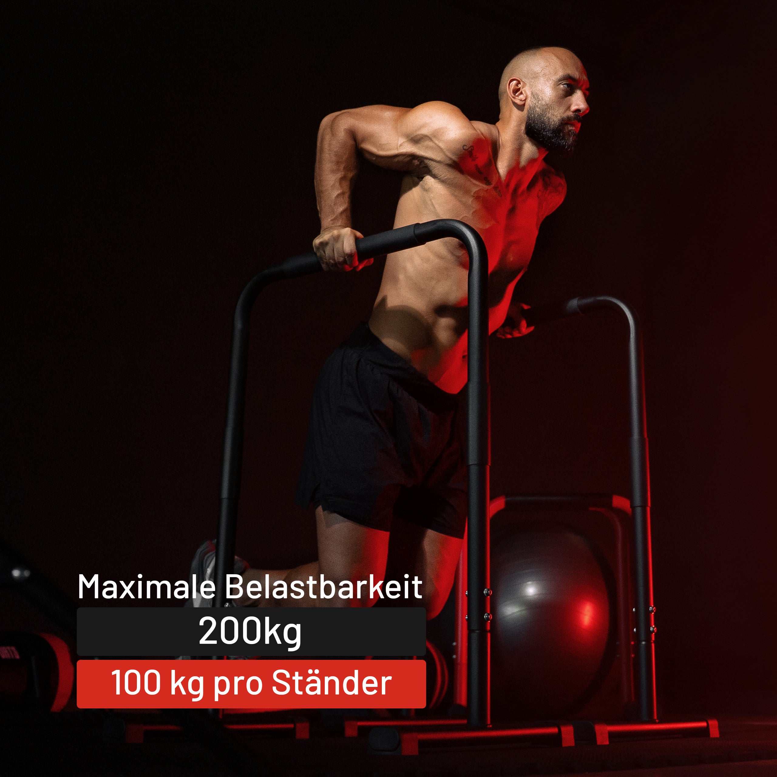 gyronetics-dip-station-push-up-barren-schwarz-200-kg image 6